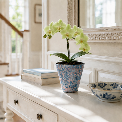2/4/5-Pack Mini Retro Ceramic Orchid Planters with Drainage Hole and Matching Saucer, 4.7 Inch Tabletop Matte Texture Flower Pots for Phalaenopsis, Succulent & Indoor and Outdoor Plants