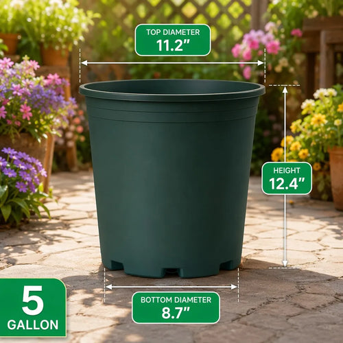 5G Dim - Vibrant - Single Pot