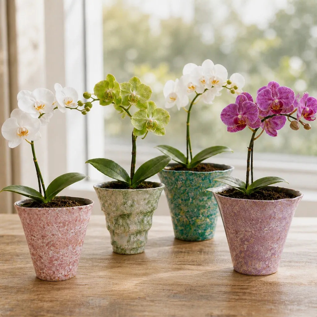 2/4/5-Pack Mini Retro Ceramic Orchid Planters with Drainage Hole and Matching Saucer, 4.7 Inch Tabletop Matte Texture Flower Pots for Phalaenopsis, Succulent & Indoor and Outdoor Plants