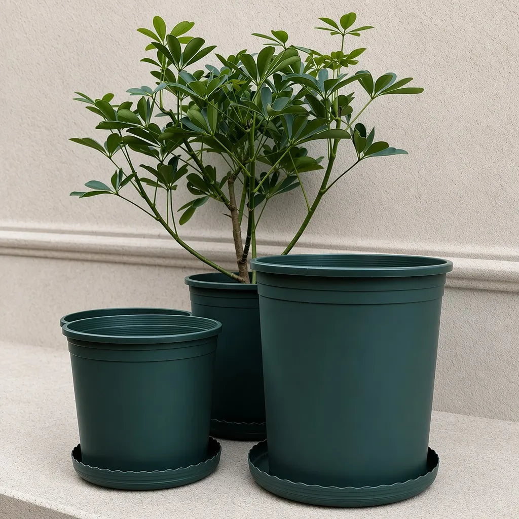 5-Gallon XL Planter and Tray Bundle (5-Pack) - Image 2