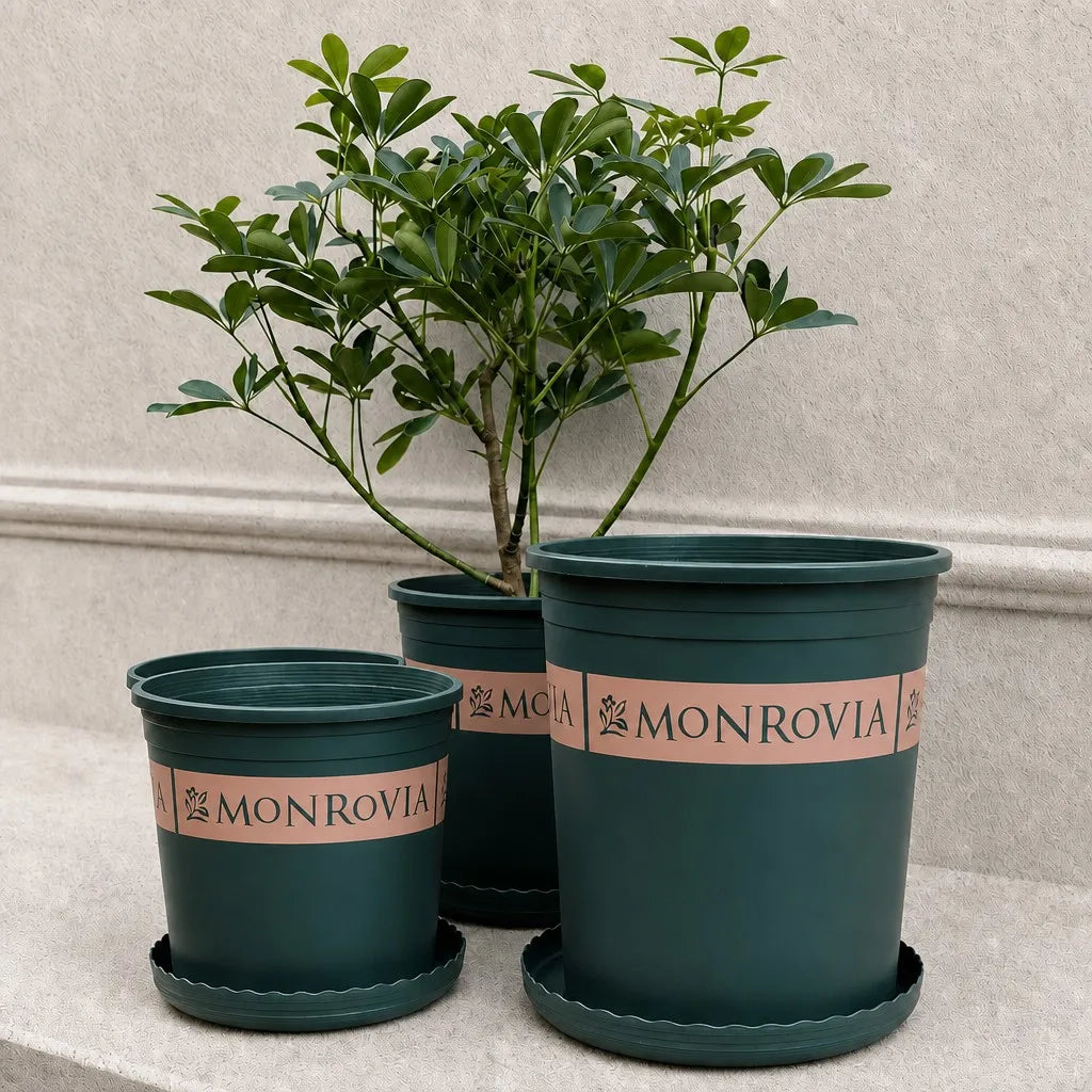 5‑Pack 3 Gallon 9.5 Inch Modern Durable Resin Nursery Planter Pots, Tall Round Green Thickened Pots with Drainage Holes & Saucer, UV‑Resistant Breathable Rot‑Resistant Flower Container for Seedlings, Indoor & Outdoor