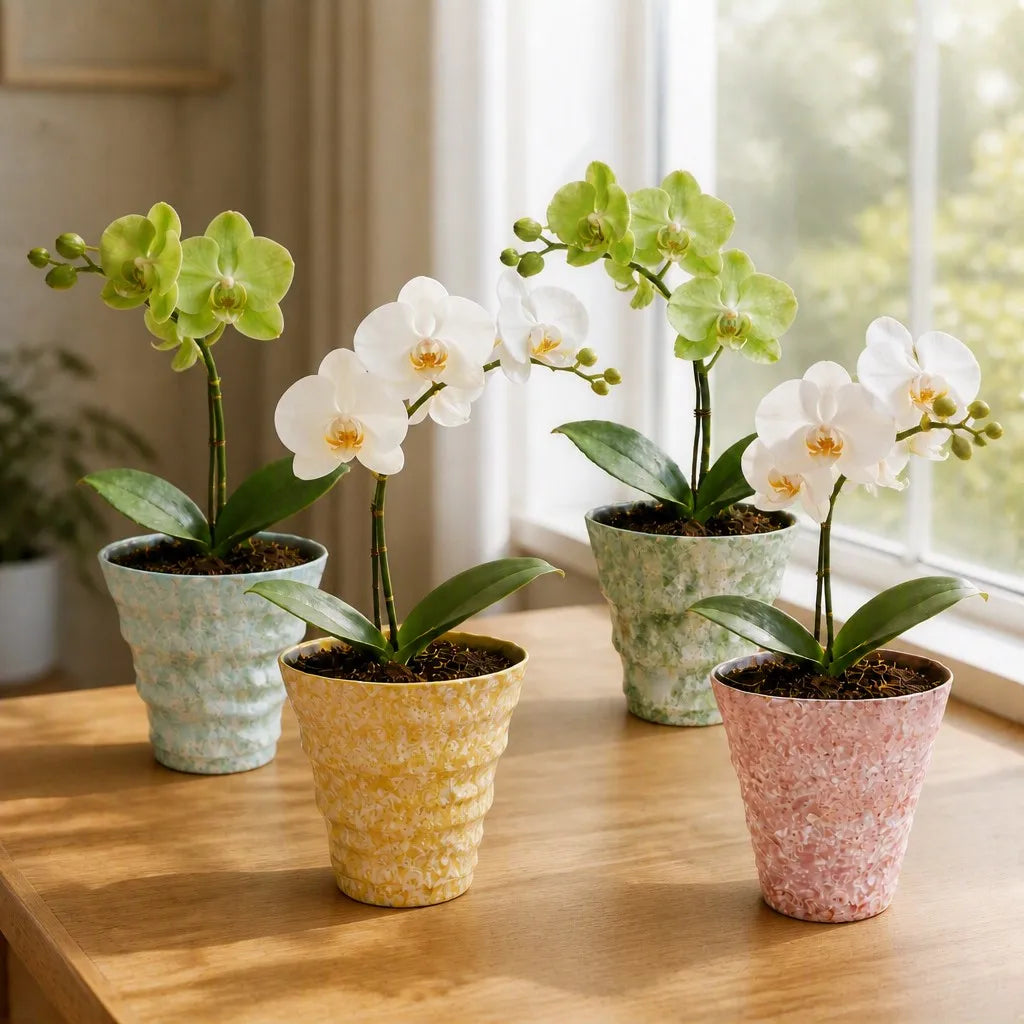 2/4/5-Pack Mini Retro Ceramic Orchid Planters with Drainage Hole and Matching Saucer, 4.7 Inch Tabletop Matte Texture Flower Pots for Phalaenopsis, Succulent & Indoor and Outdoor Plants