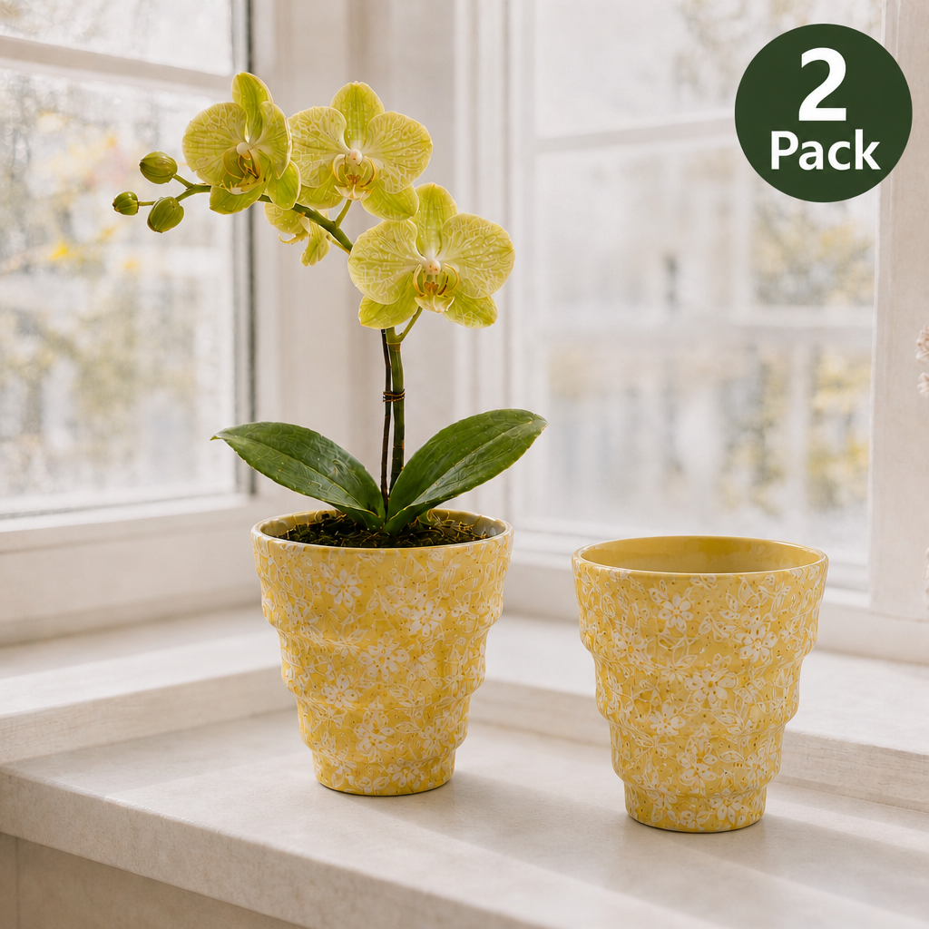 2 Pack - a5 Yellow Stepped Base (No Saucer)
