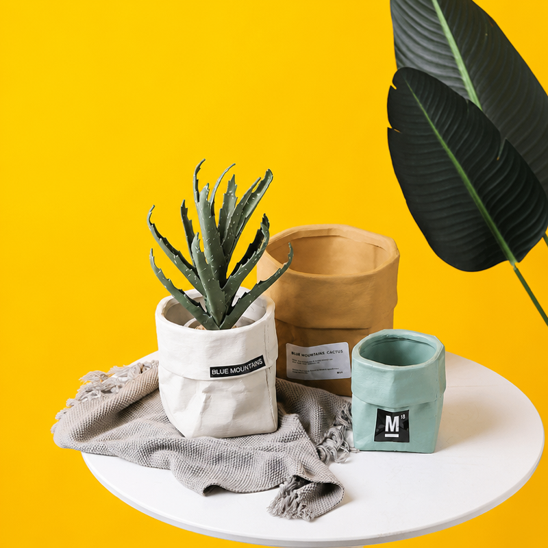 Minimalist Ceramic Planter Pot for Small Plants