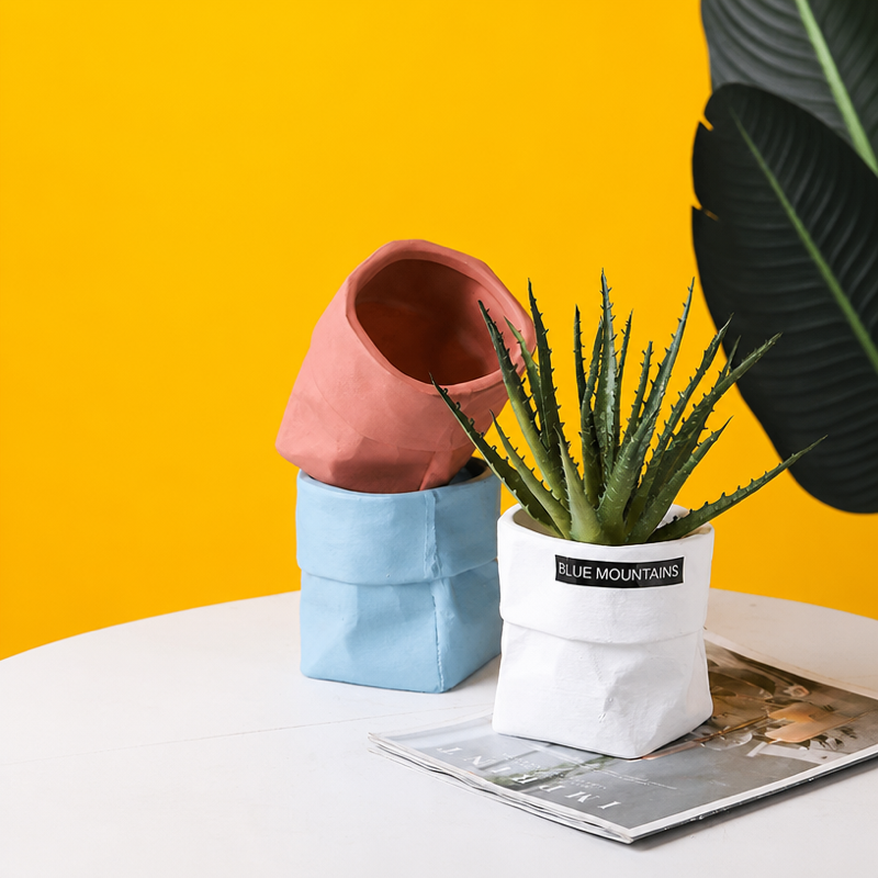 Minimalist Ceramic Planter Pot for Small Plants
