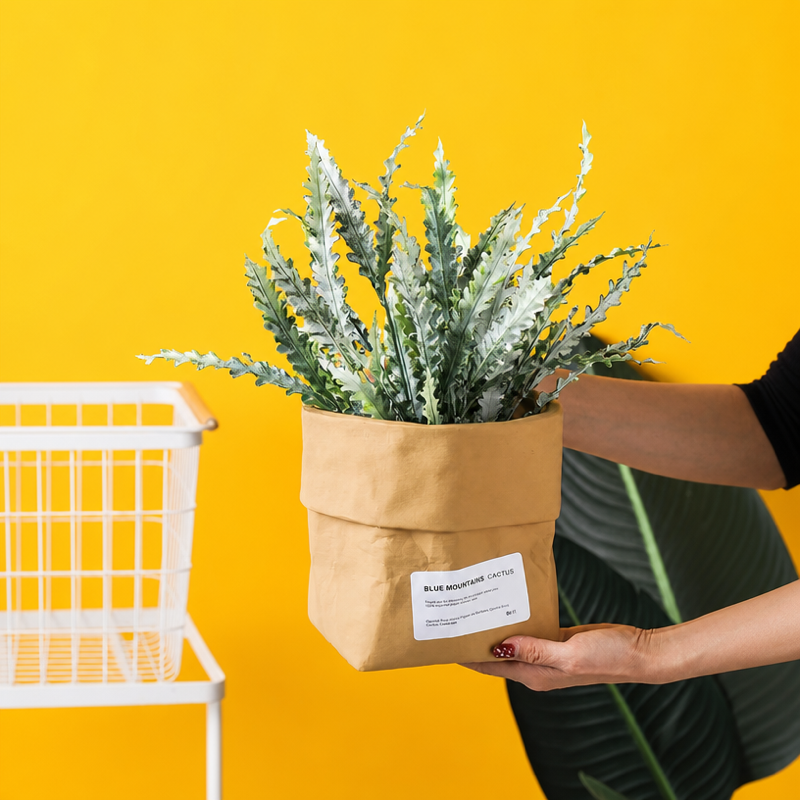 Minimalist Ceramic Planter Pot for Small Plants