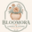 Bloomora Garden Planters Studio - Home