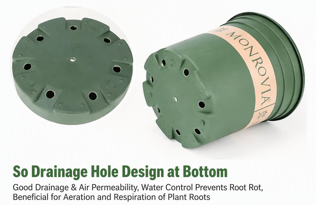 5‑Pack 5 Gallon 11 Inch Modern Durable Resin Nursery Planter Pots, Tall Round Large Green Thickened Pots with Drainage Holes & Saucer, UV‑Resistant Breathable Rot‑Resistant Flower Container for Seedlings, Indoor & Outdoor