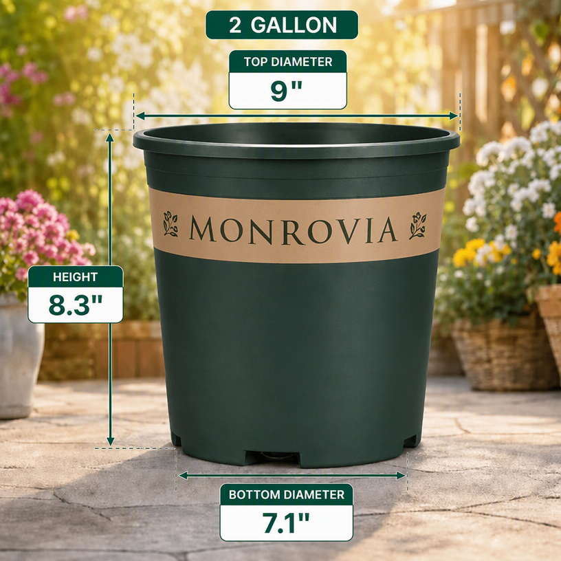 2 Gallon Planter Pot Dimensions - Top Diameter 9 Inches