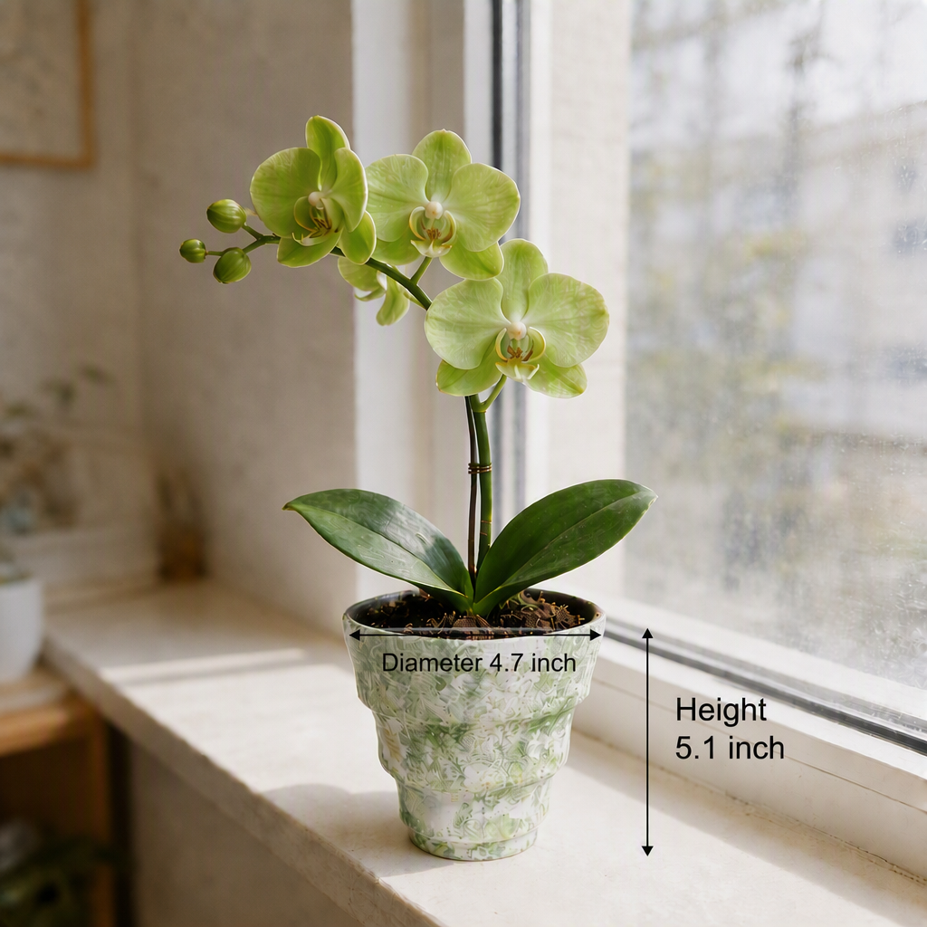 2/4/5-Pack Mini Retro Ceramic Orchid Planters with Drainage Hole and Matching Saucer, 4.7 Inch Tabletop Matte Texture Flower Pots for Phalaenopsis, Succulent & Indoor and Outdoor Plants