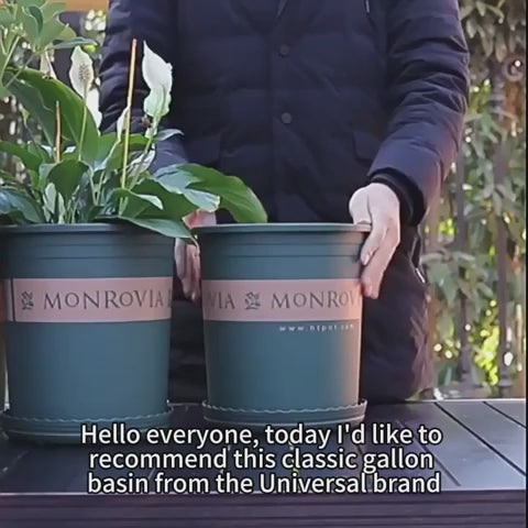 5‑Pack 3 Gallon 9.5 Inch Modern Durable Resin Nursery Planter Pots, Tall Round Green Thickened Pots with Drainage Holes & Saucer, UV‑Resistant Breathable Rot‑Resistant Flower Container for Seedlings, Indoor & Outdoor
